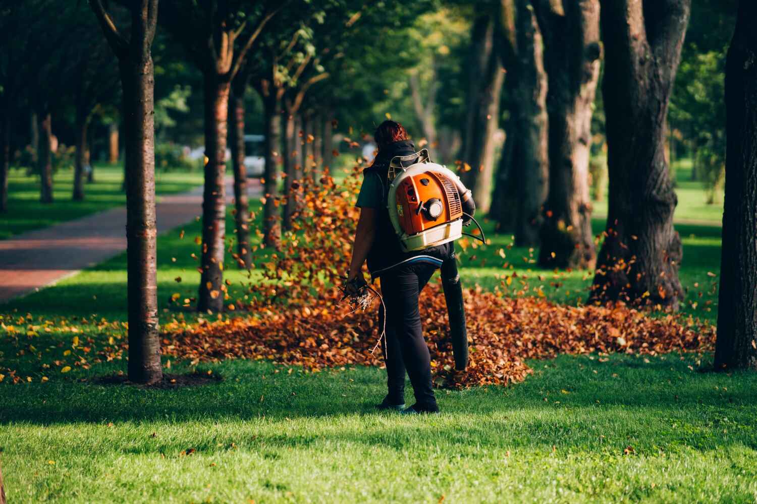 Best Tree Root Removal  in Reynolds Heights, PA